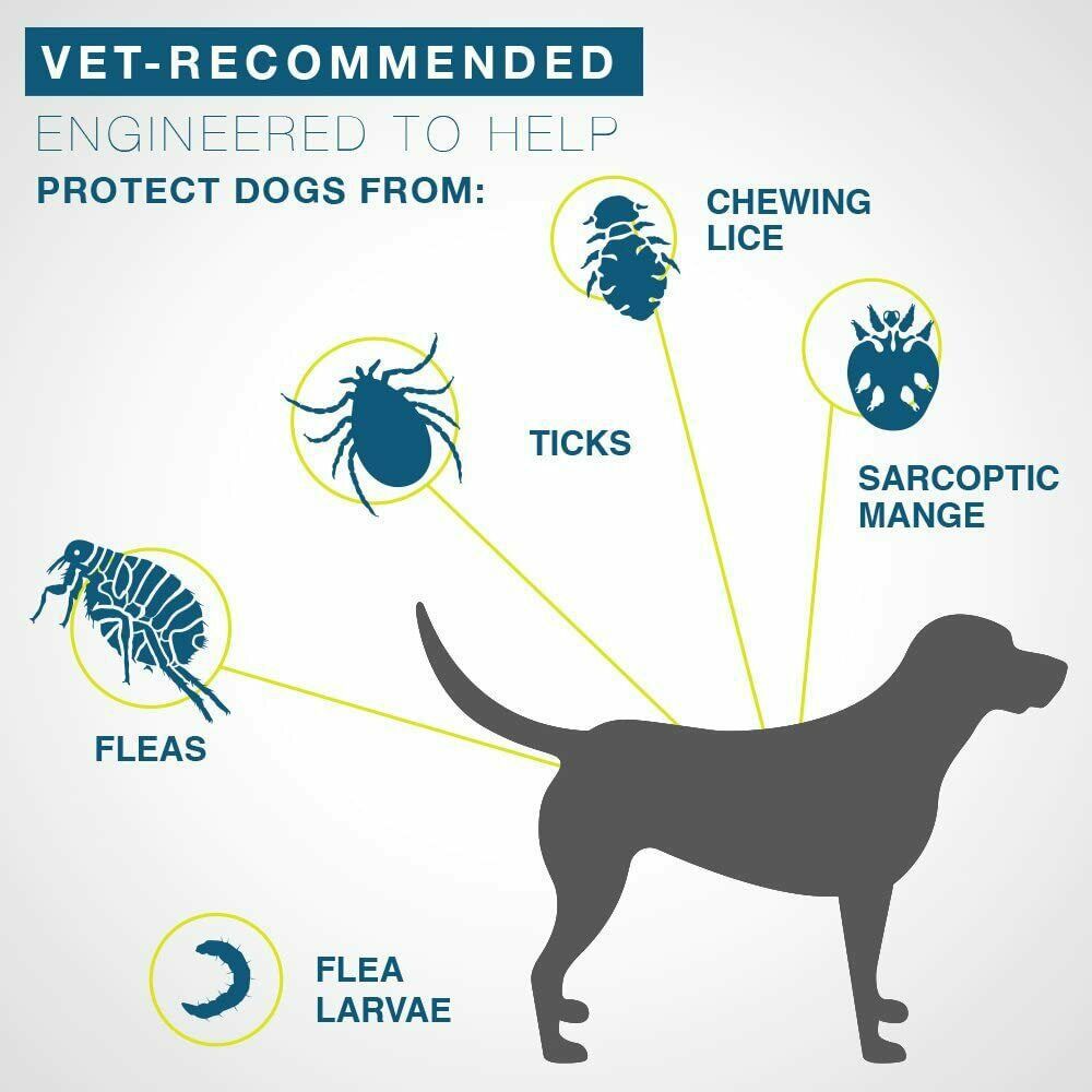 Vet-Recommended Flea & Tick Prevention Collar for Large Dogs Over 18 lbs., Count of 1